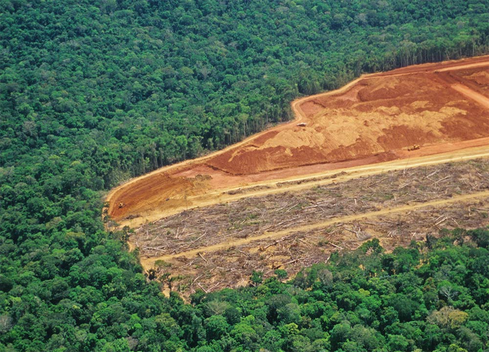 Desmatamento na Amazônia em junho é 88% maior do que no mesmo período de 2018